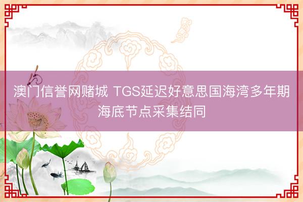 澳门信誉网赌城 TGS延迟好意思国海湾多年期海底节点采集结同